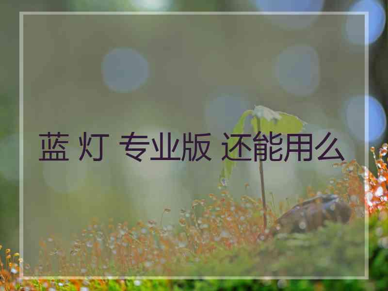 蓝 灯 专业版 还能用么