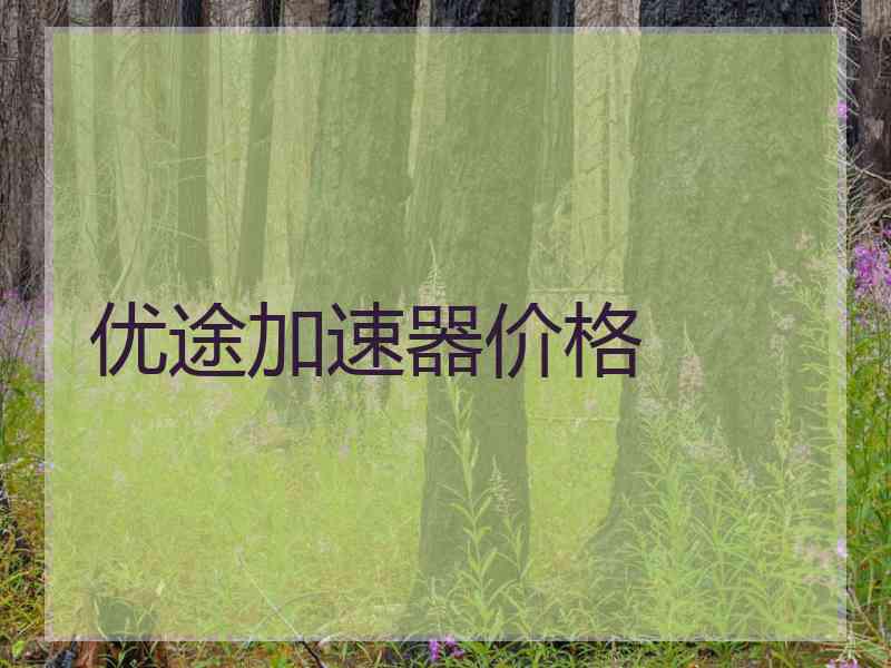 优途加速器价格