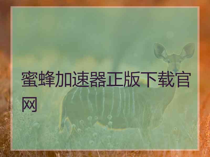 蜜蜂加速器正版下载官网