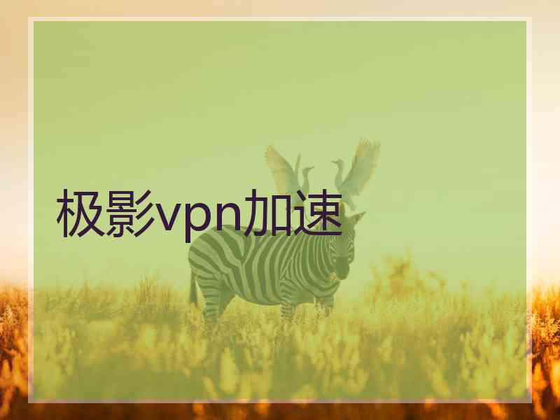 极影vpn加速
