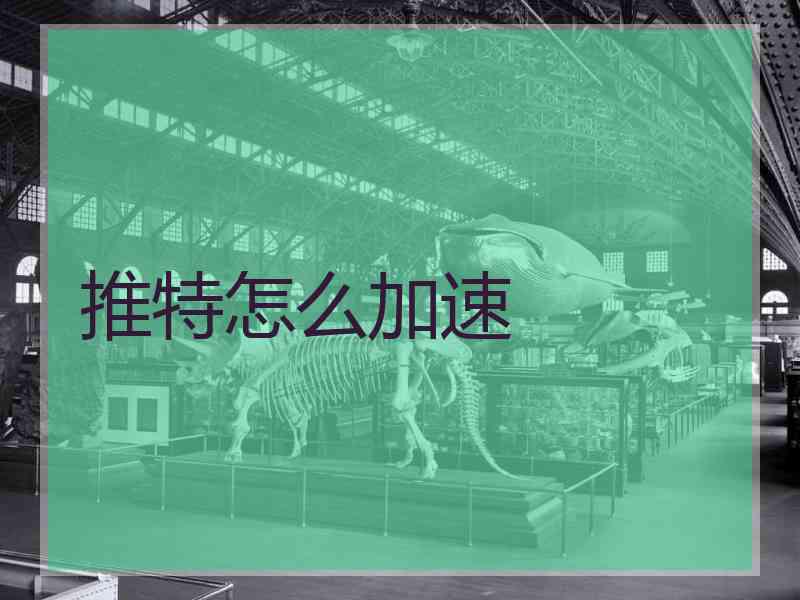 推特怎么加速