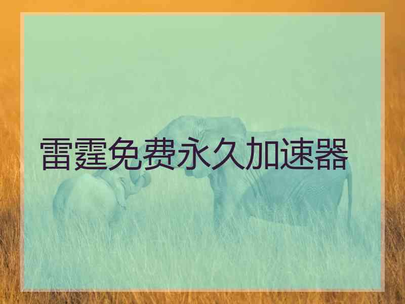 雷霆免费永久加速器