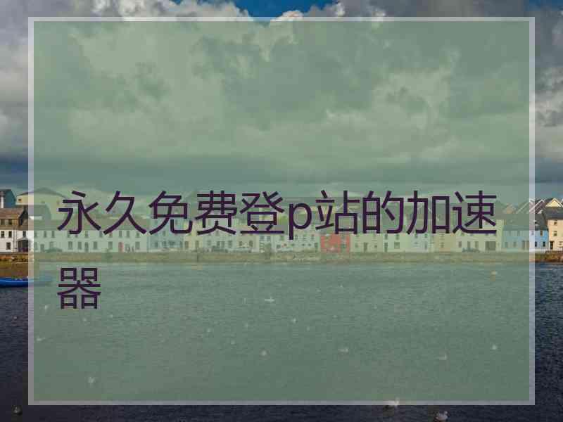 永久免费登p站的加速器