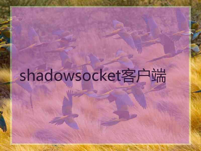 shadowsocket客户端