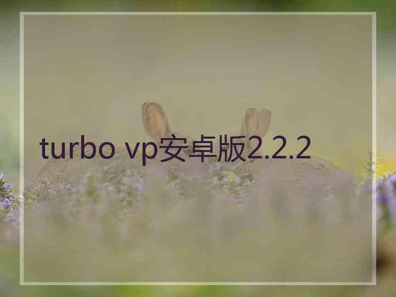 turbo vp安卓版2.2.2