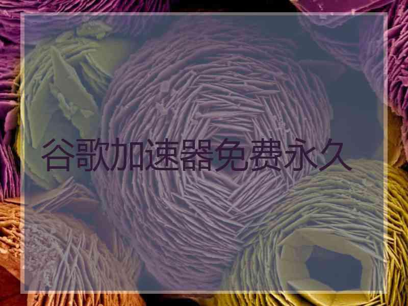 谷歌加速器免费永久