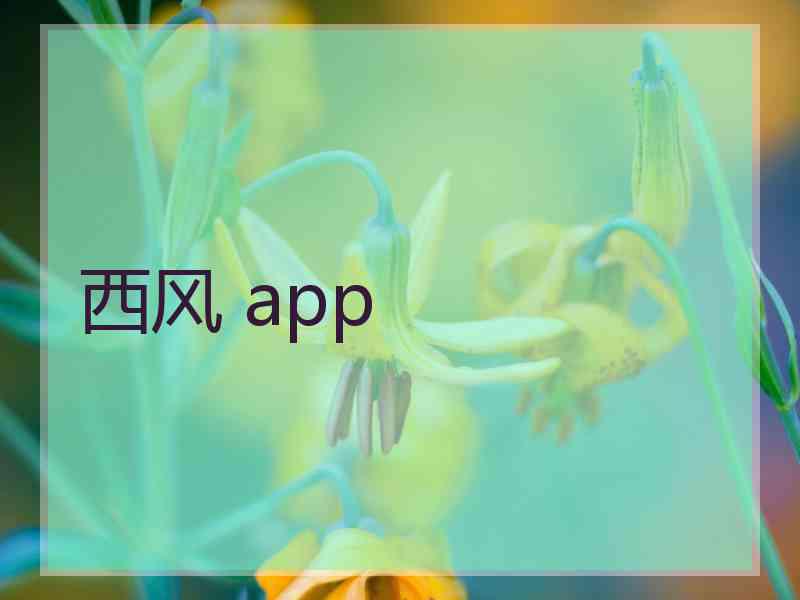西风 app