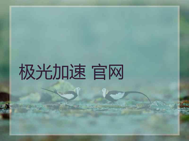 极光加速 官网
