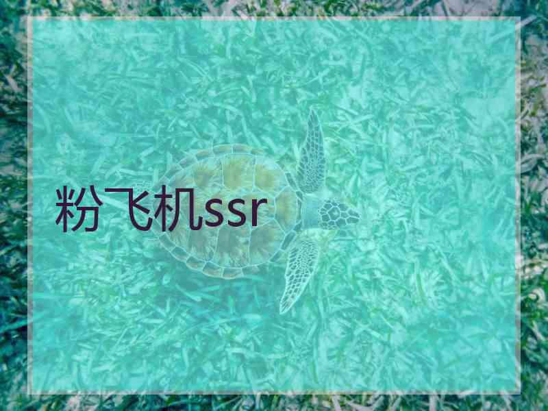 粉飞机ssr