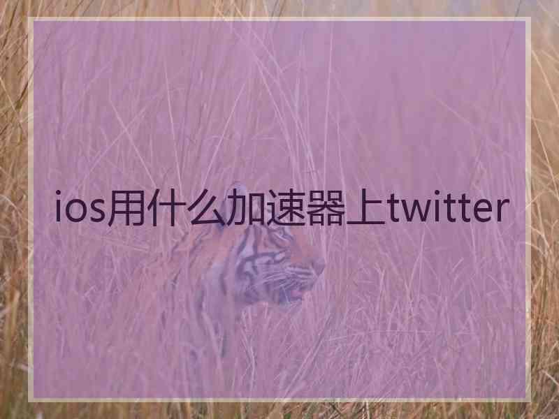 ios用什么加速器上twitter