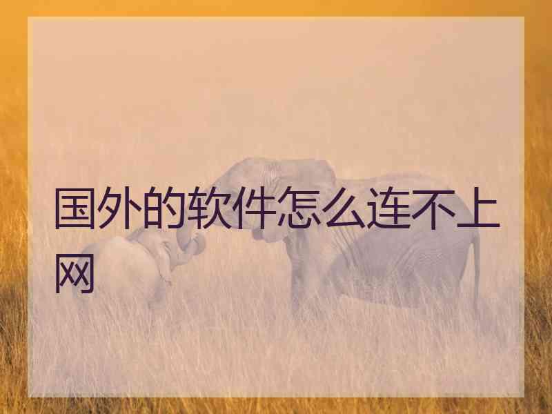 国外的软件怎么连不上网