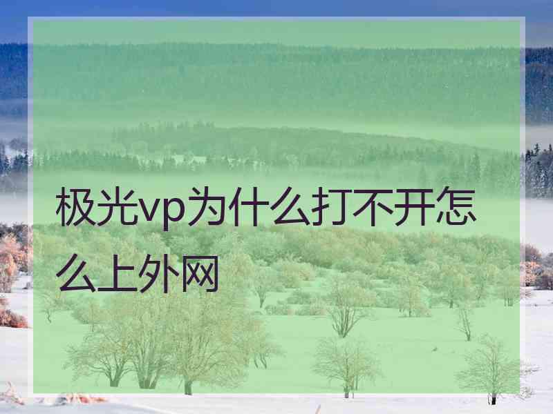 极光vp为什么打不开怎么上外网