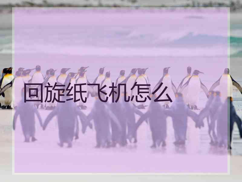 回旋纸飞机怎么