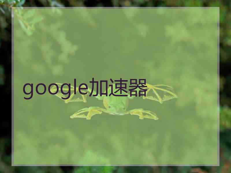 google加速器