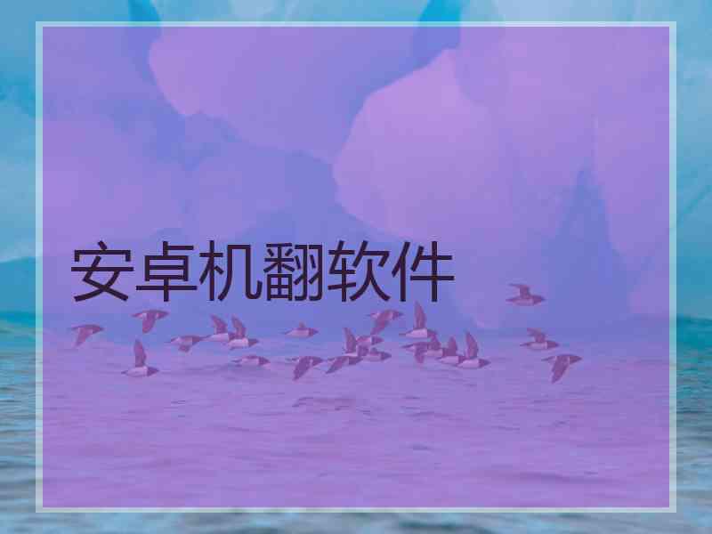 安卓机翻软件