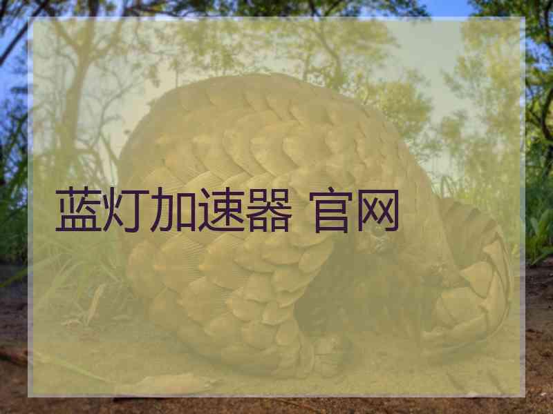 蓝灯加速器 官网