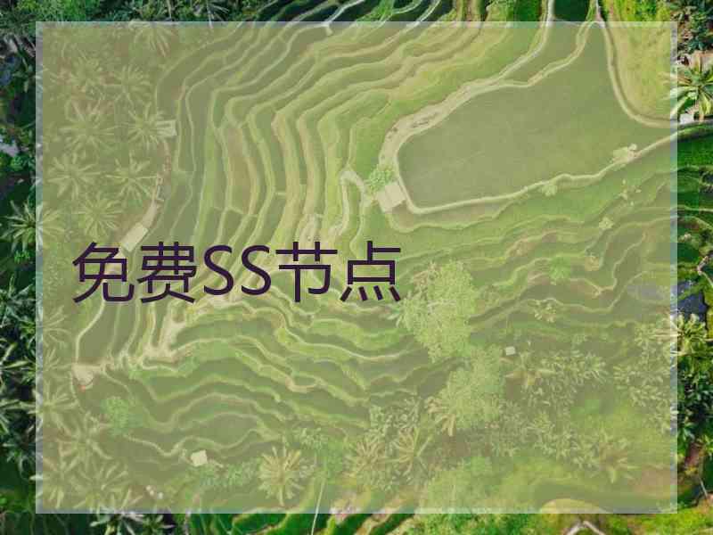 免费SS节点