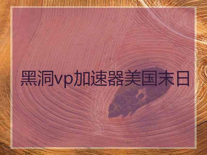 黑洞vp加速器美国末日