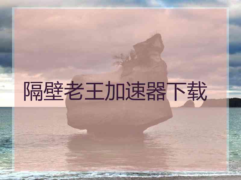 隔壁老王加速器下载