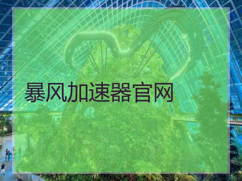 暴风加速器官网