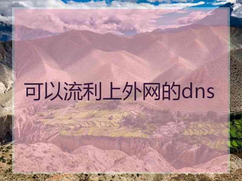可以流利上外网的dns