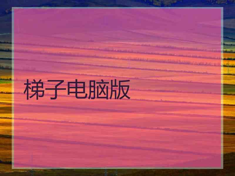 梯子电脑版