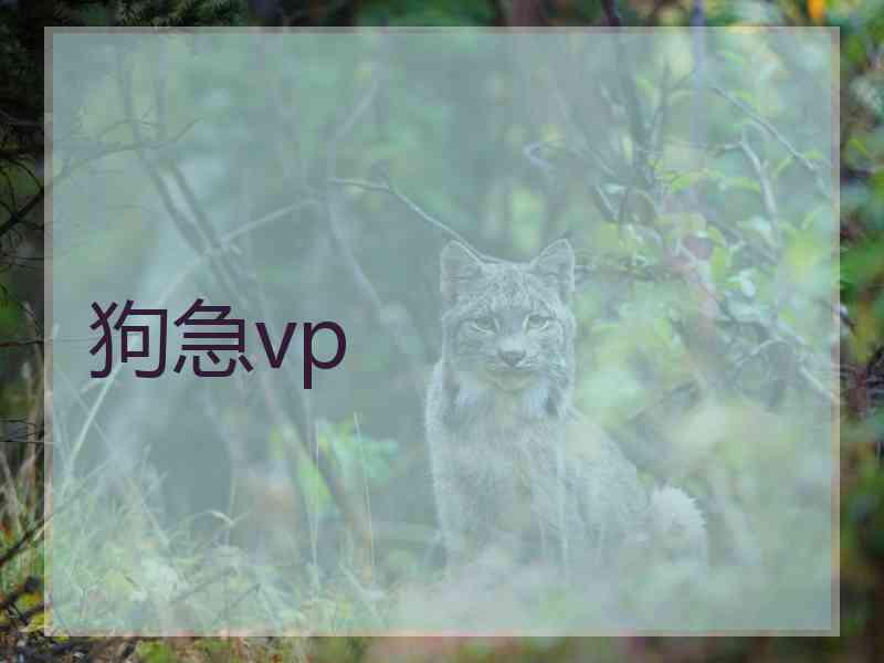 狗急vp