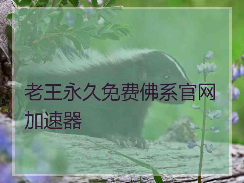 老王永久免费佛系官网加速器