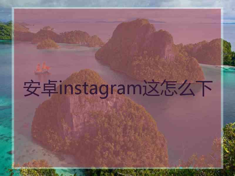 安卓instagram这怎么下