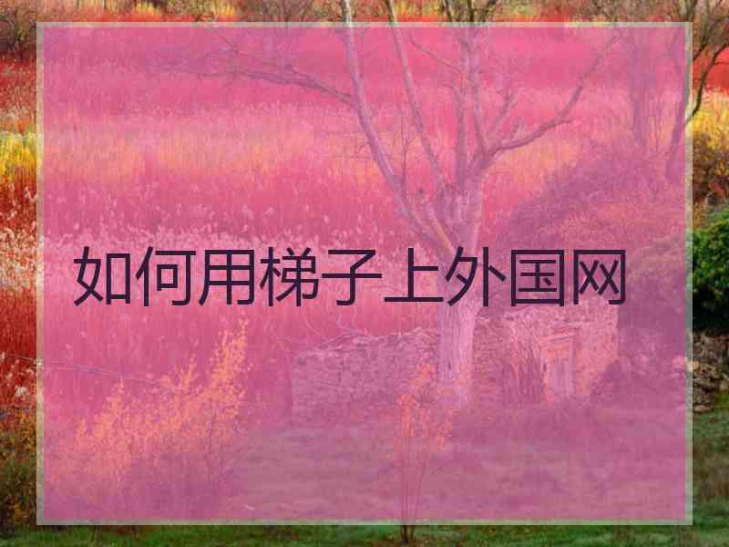 如何用梯子上外国网