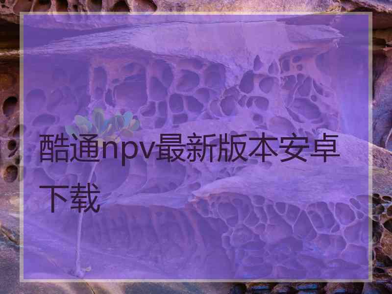 酷通npv最新版本安卓下载