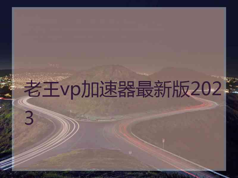老王vp加速器最新版2023