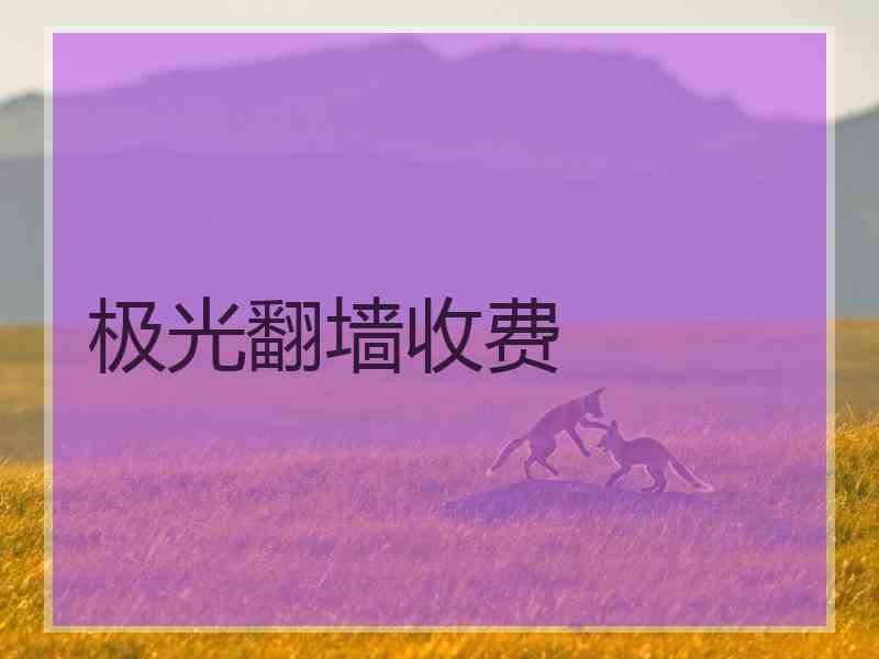 极光翻墙收费