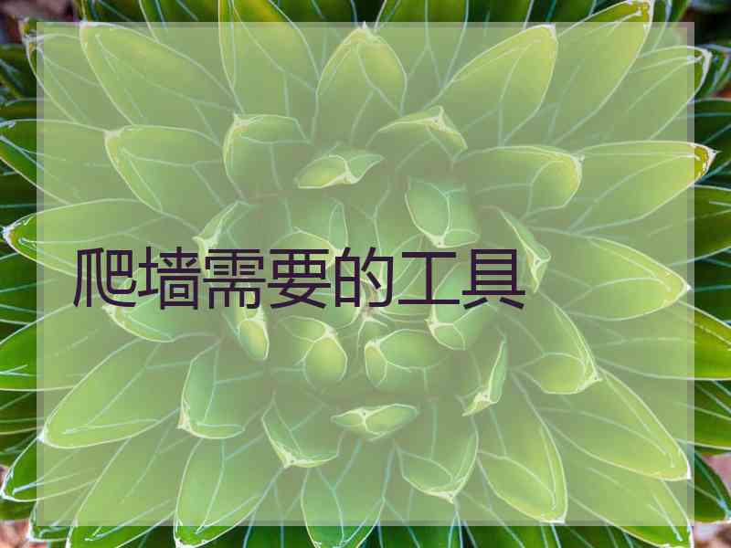 爬墙需要的工具