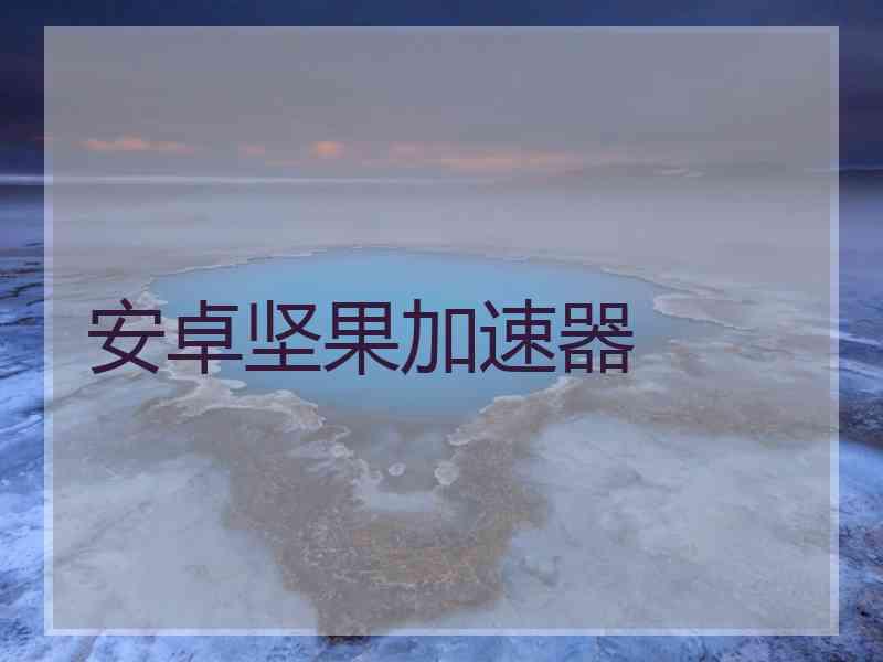 安卓坚果加速器