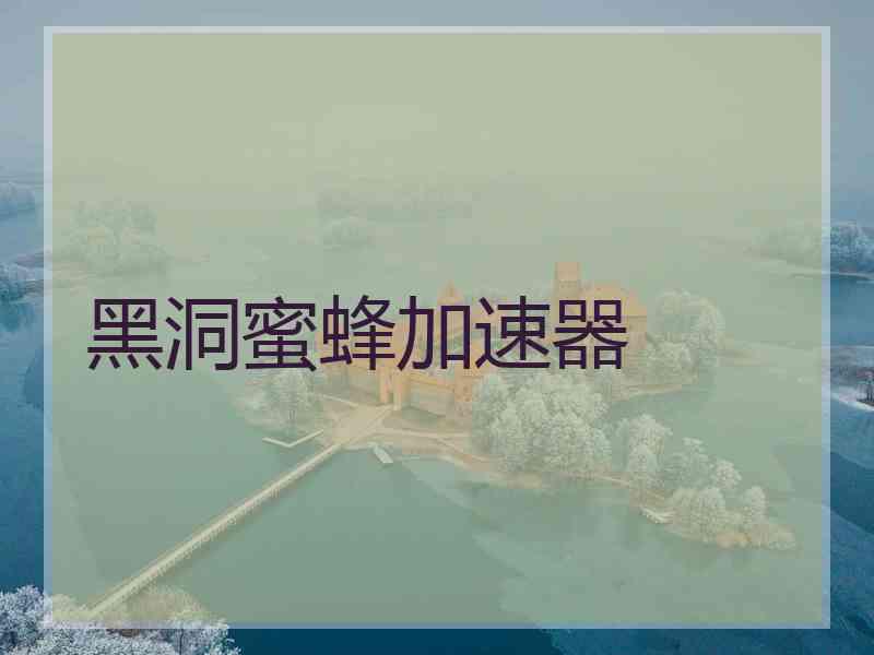 黑洞蜜蜂加速器