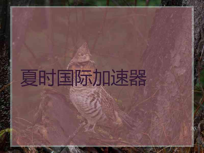 夏时国际加速器