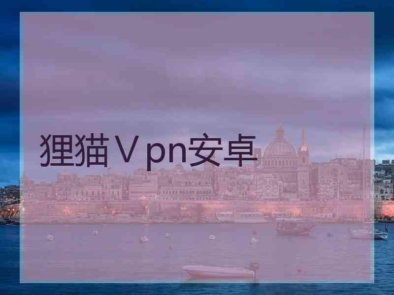狸猫Ⅴpn安卓