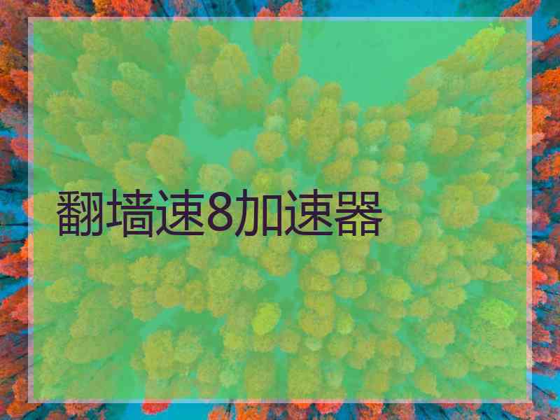 翻墙速8加速器