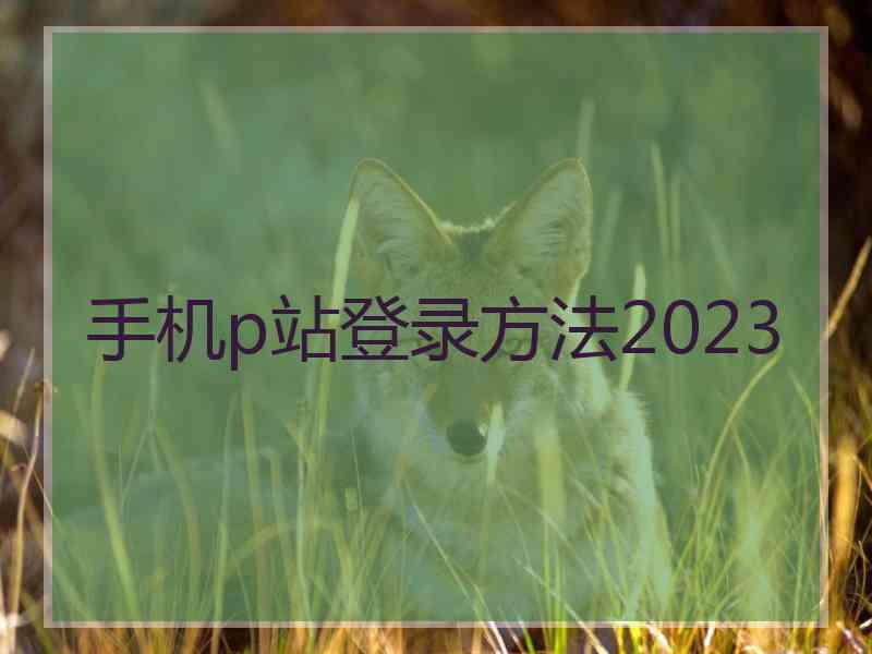 手机p站登录方法2023