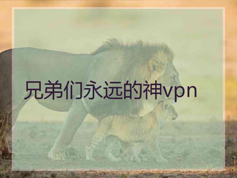 兄弟们永远的神vpn