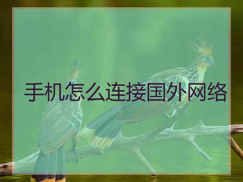 手机怎么连接国外网络