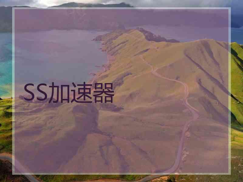 SS加速器