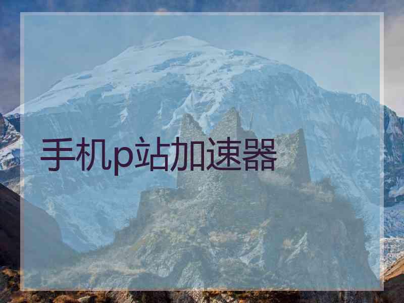 手机p站加速器