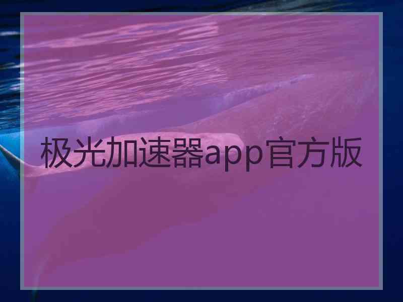 极光加速器app官方版