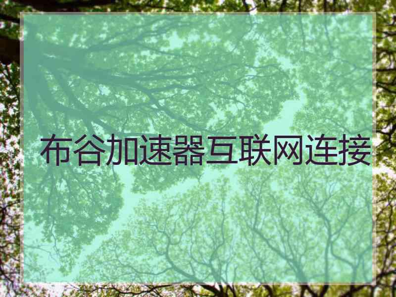 布谷加速器互联网连接