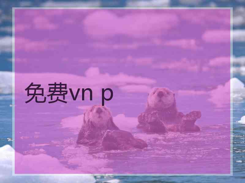 免费vn p
