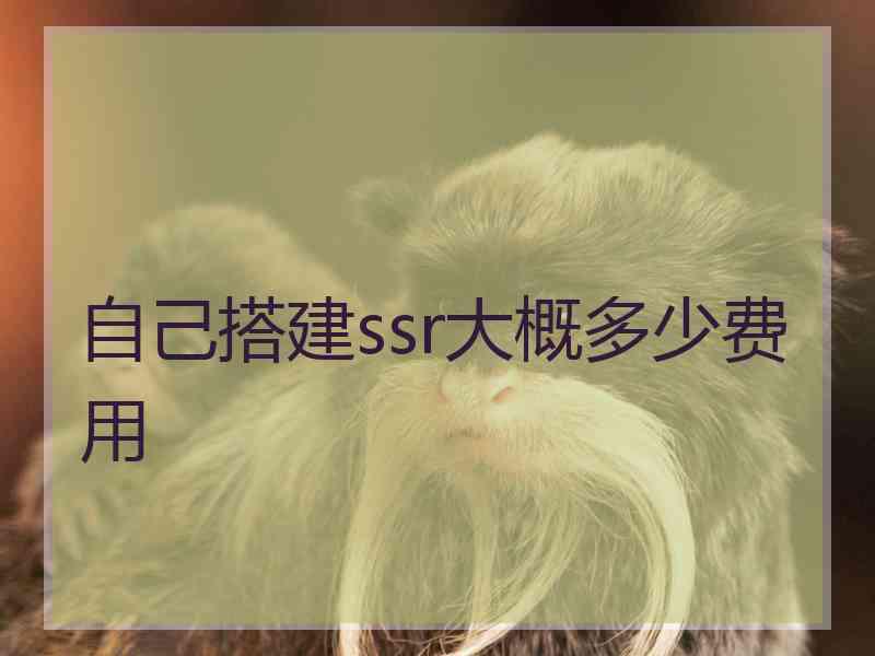 自己搭建ssr大概多少费用