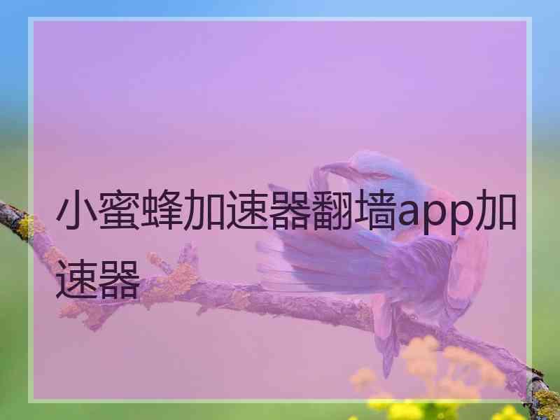 小蜜蜂加速器翻墙app加速器