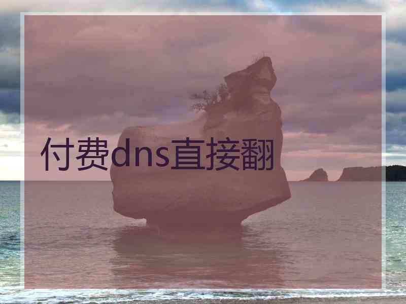 付费dns直接翻